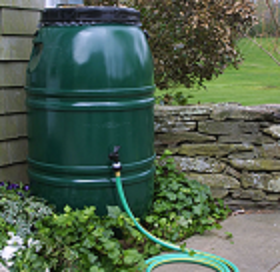 Collecting rainwater now illegal 2.png