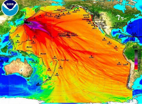 Fukushima radiation map 2.png