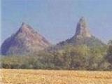 Glass House Mountains old pic of Mt Beerwah and  Mt Crookneck as the locals call it or Coonowrin official name.. Note the pyarmid shape of Mt Beerwah.jpg