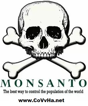 Monsanto.png