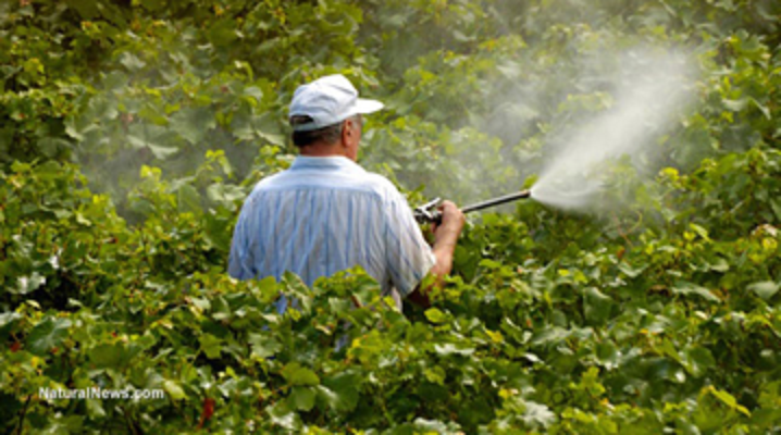 Pesticide exposure can cause disease across four generations 2.png