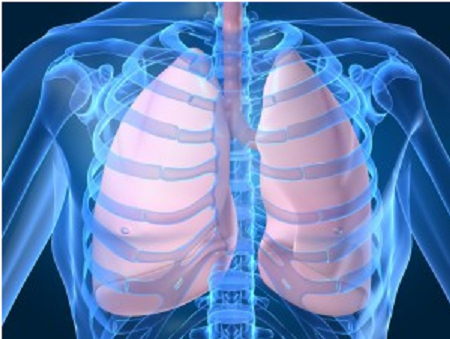We can survive weeks without food days without water and only minutes without air. Take good care of your lungs.png