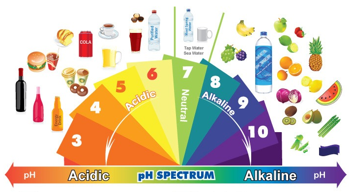 The Fundamentals of an Alkaline Diet.png