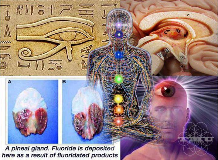 How To Decalcify And Detoxify Your Pineal Gland.png