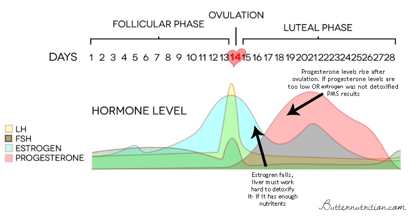 Estrogen dominance health issues.png