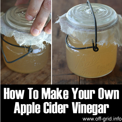 How to make your own Apple Cider Vinegar.png