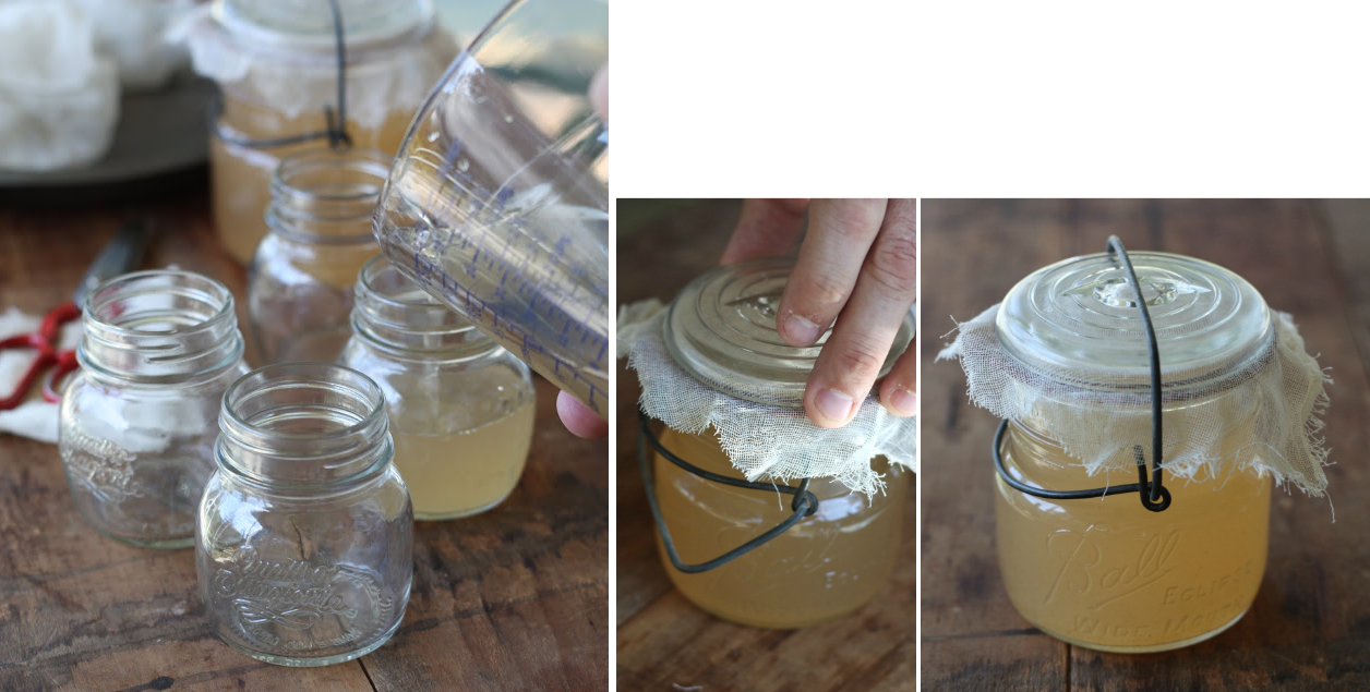 How to make your own Apple Cider Vinegar 6.png