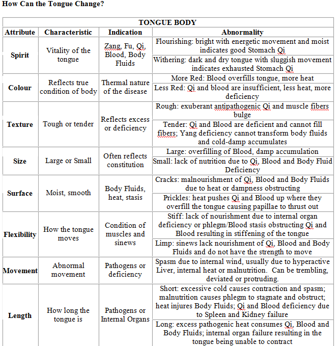 TCM Tongue diagnosis 5.png