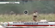 Woman dances atop flooded house before being swept away 2013