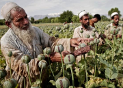Afghan Overdose: Battle against opium trade (RT Documentary) 