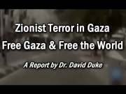 Zionist Terror in Gaza - Free Gaza and Free the World