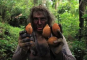 Botanical Explorers - The Fruitful Forest (Full Movie)