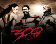 300 (2006) 